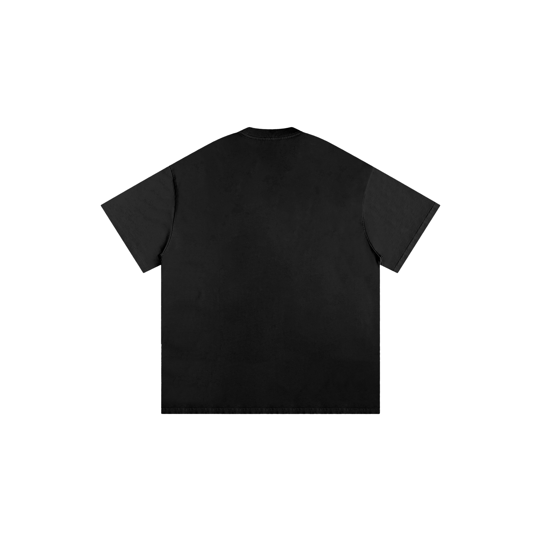 Graphic heavy weight t-shirt